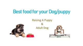 Best food for your Dog