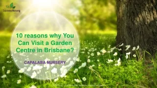 10 Reasons Why You Can Visit a Garden Centre in Brisbane?
