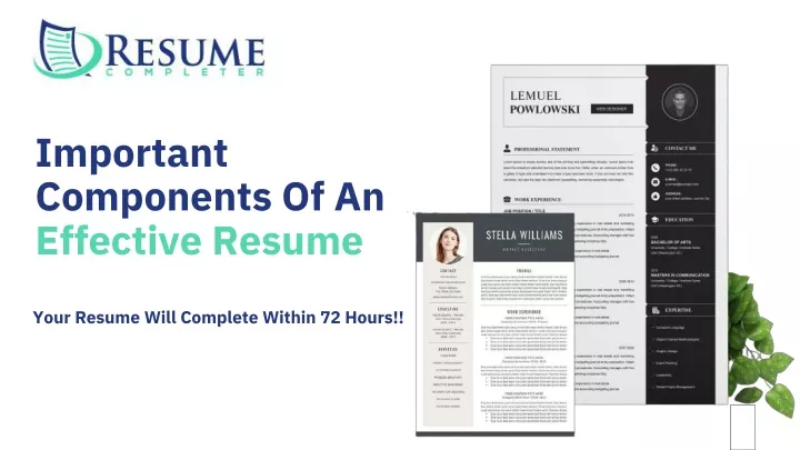 important components of an effective resume