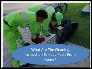 What Are The Cleaning Instruction To Keep Pests From Home