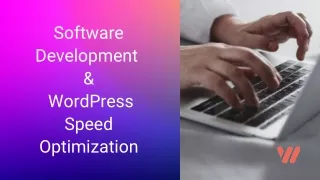 Software Development & WordPress Speed Optimization
