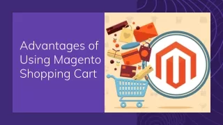 Advantage of Using Magento Shopping Cart