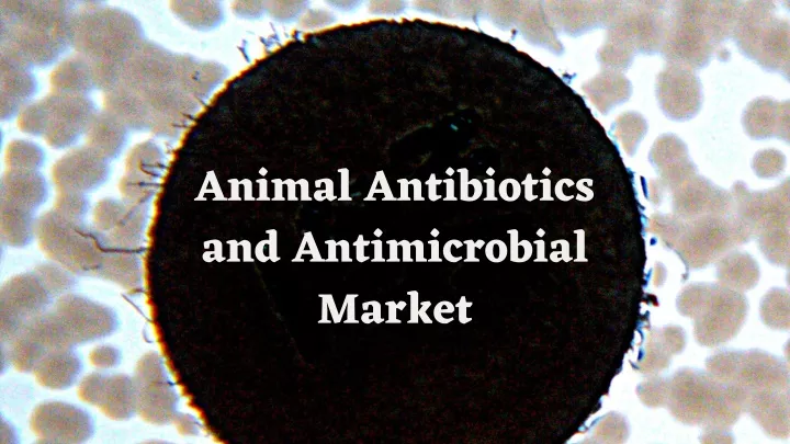 animal antibiotics and antimicrobial market