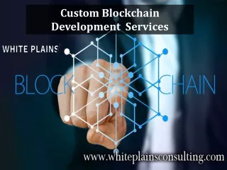 Custom Blockchain Development services