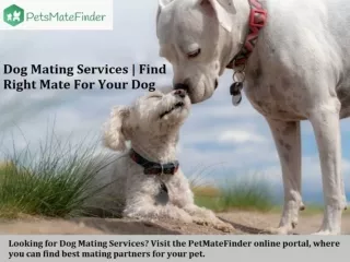 Dog Mating Services (PetMateFinder)