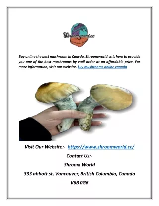 Buy Mushrooms Online Canada | Shroomworld.cc