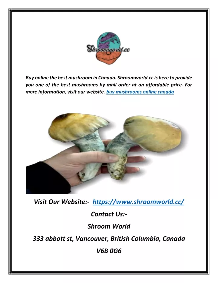 buy online the best mushroom in canada