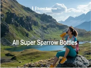insulated water bottle supplier