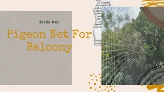 birds net