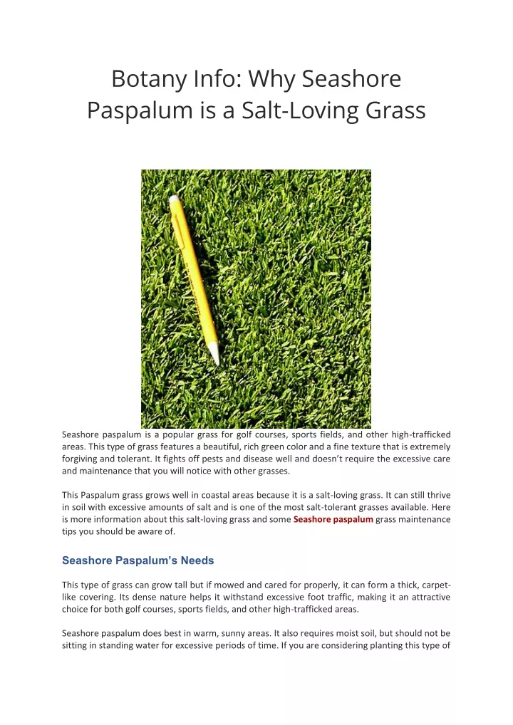 botany info why seashore paspalum is a salt