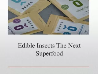 Edible Insects The Next Superfood