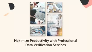 maximize productivity with professional data verification services