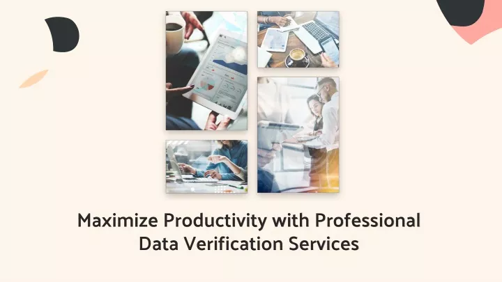 maximize productivity with professional data verification services
