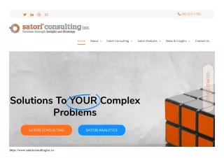 Satori Business and Management Consulting