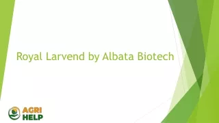 Royal Larvend by Albata Biotech