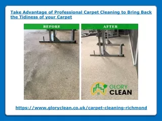 take advantage of professional carpet cleaning