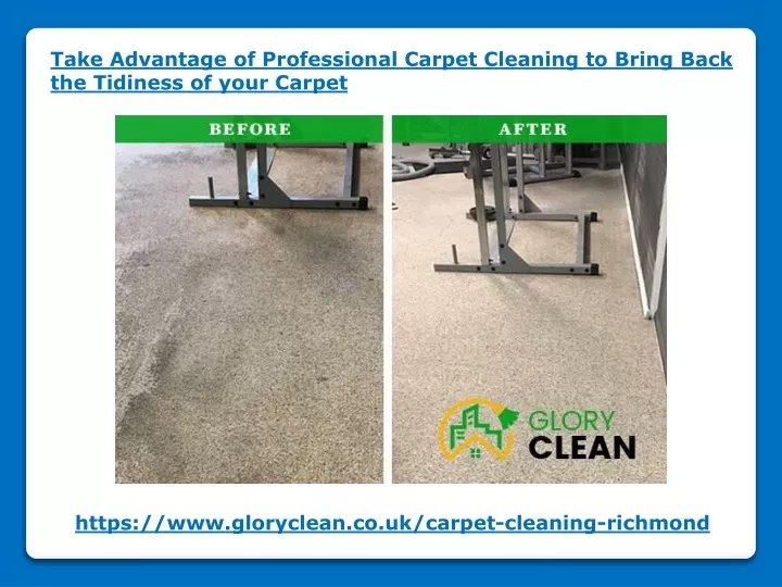 take advantage of professional carpet cleaning