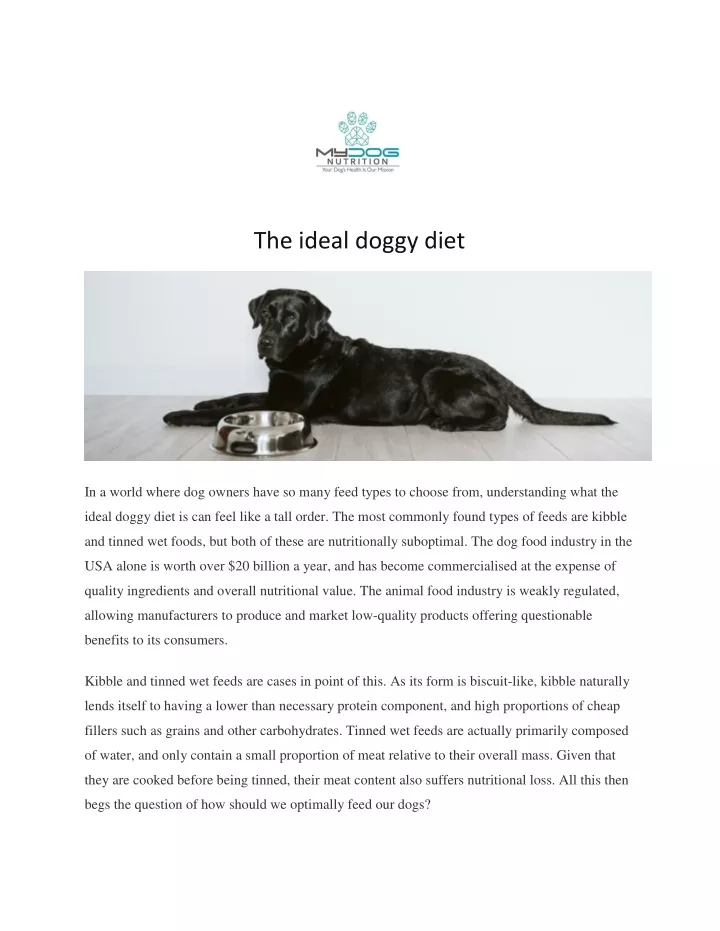 the ideal doggy diet