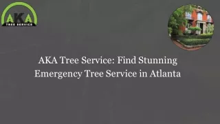 AKA Tree Service: Find Stunning Emergency Tree Service in Atlanta
