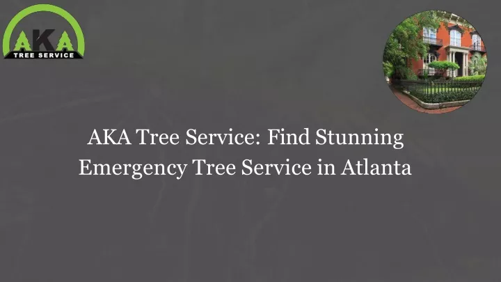 aka tree service find stunning emergency tree service in atlanta