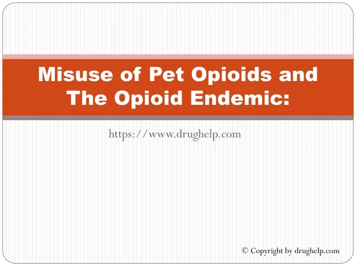 misuse of pet opioids and the opioid endemic