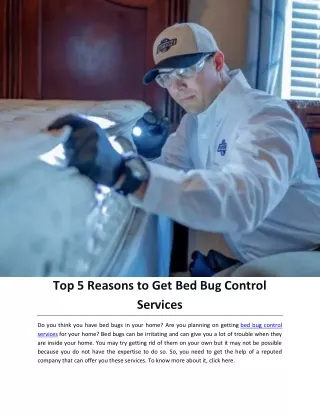 Top 5 Reasons to Get Bed Bug Control Services