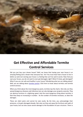Get Effective and Affordable Termite Control Services