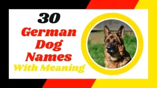 30 Most Popular German Dog Names With Meaning 2021 ! Unique Dog Names 2021