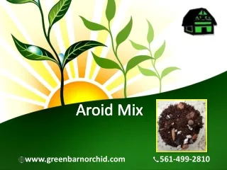 Perfect Aroid Mix for your orchid plants as well as other tropical plants
