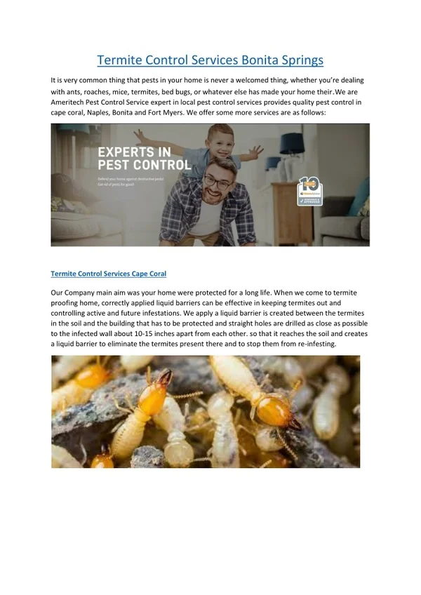 Termite Control Services Bonita Springs