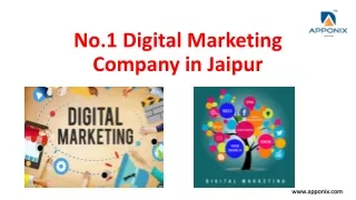 dm.jaipur ppt