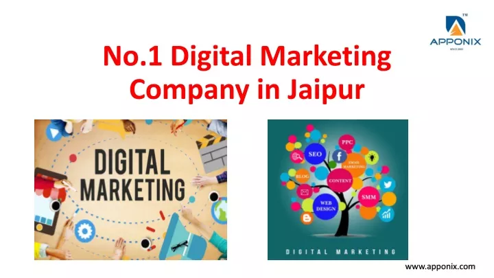 no 1 digital marketing company in jaipur