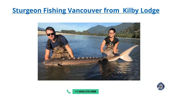 sturgeon fishing vancouver from kilby lodge