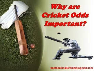 Cricket Odds Help The Bettor To Make Successful Bets