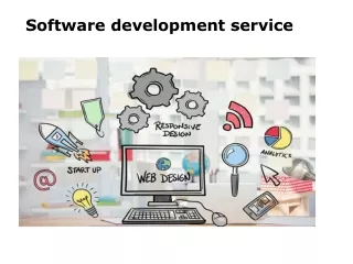 Software development service