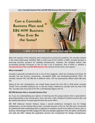 can a cannabis business plan and eb2 niw business