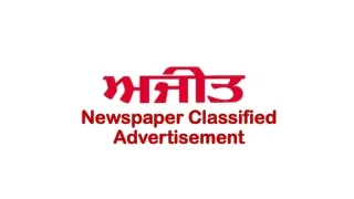 newspaper classified advertisement