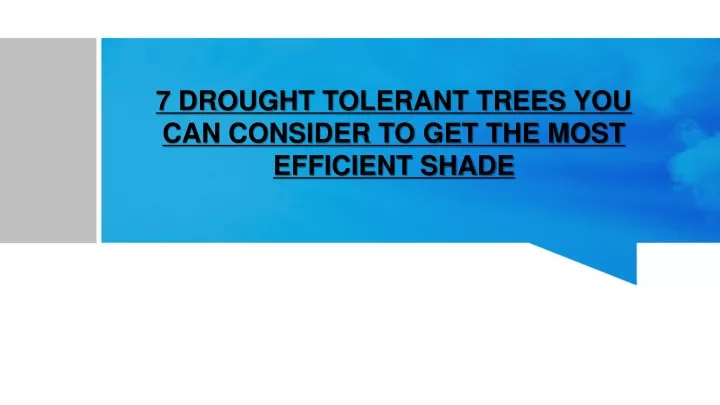 7 drought tolerant trees you can consider to get the most efficient shade