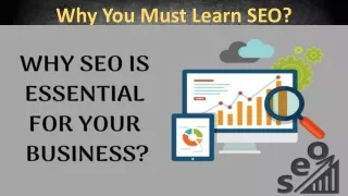 why you must learn seo