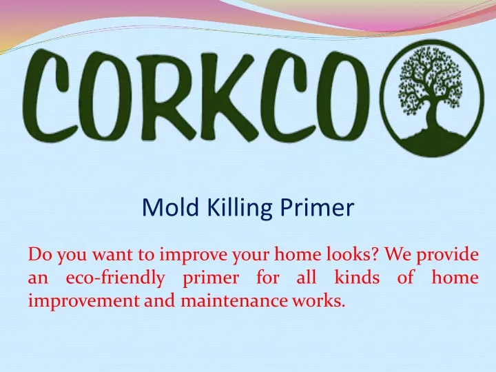 mold killing primer