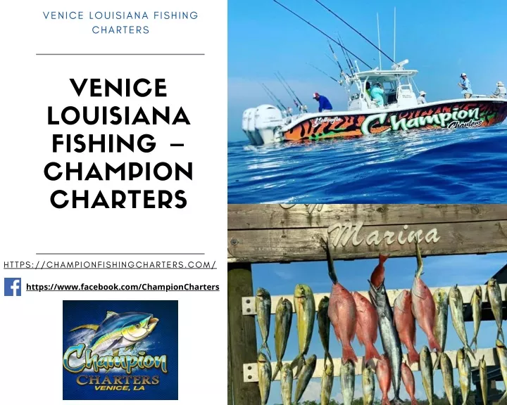 venice louisiana fishing charters