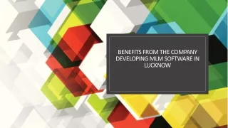benefits from the company developing mlm software in lucknow