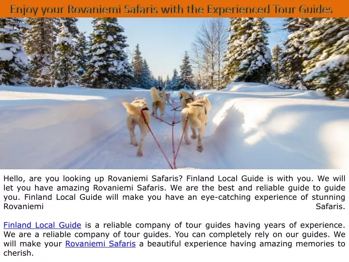 enjoy your rovaniemi safaris with the experienced