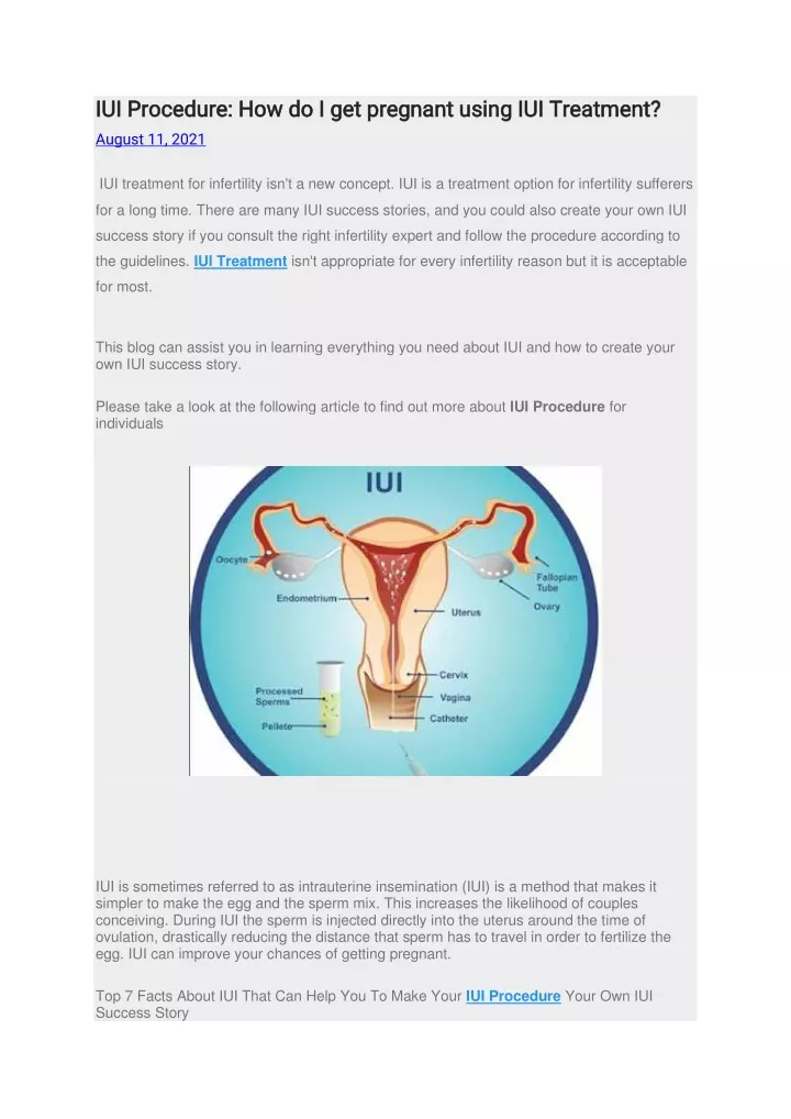 iui procedure how do i get pregnant using