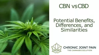 Difference between cbn and cbd
