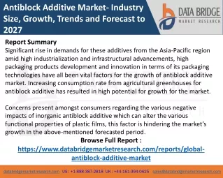 Antiblock Additive Market | In-depth Research on Market Business Status