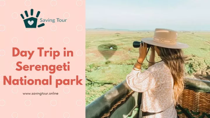 day trip in serengeti national park