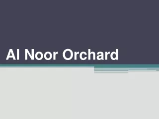 al noor orchard