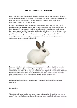 top 100 rabbits in port macquarie