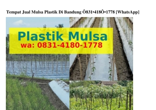 Tempat Jual Mulsa Plastik Di Bandung Ô8౩I•ԿI8Ô•Iᜪᜪ8[WhatsApp]